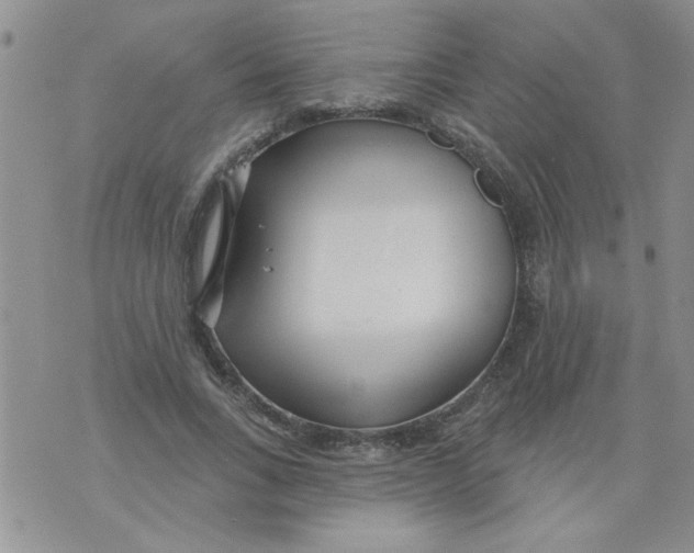 X0000073730735200608311844