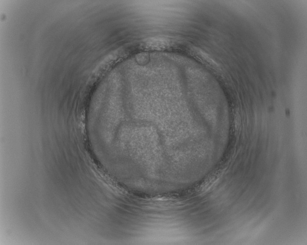 X0000073730737200608311844