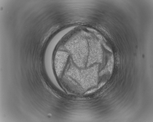 X0000073730738200608311844