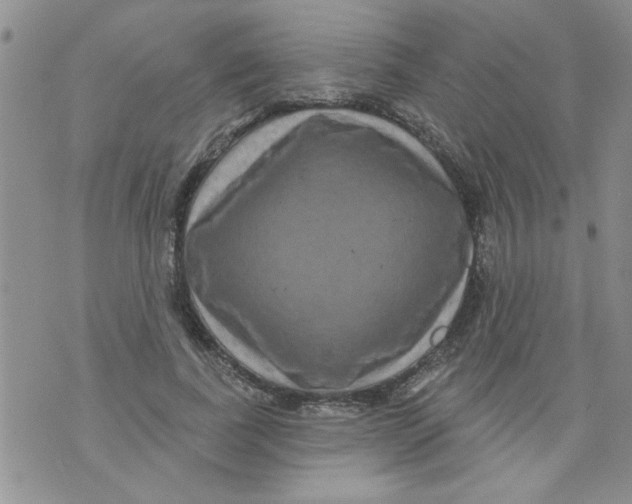 X0000073730739200608311844