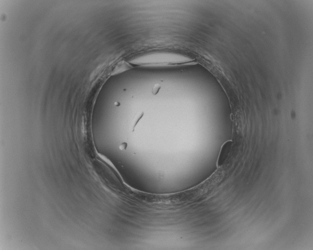 X0000073730740200608311844