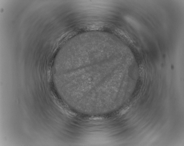 X0000073730741200608311844