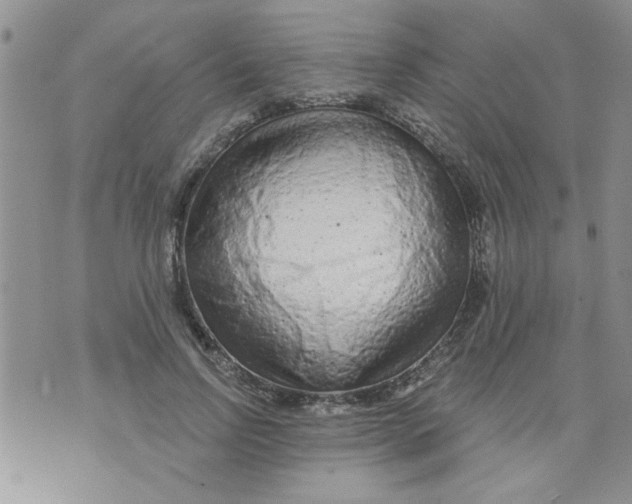 X0000073730742200608311844