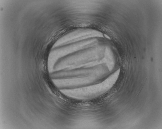 X0000073730743200608311844