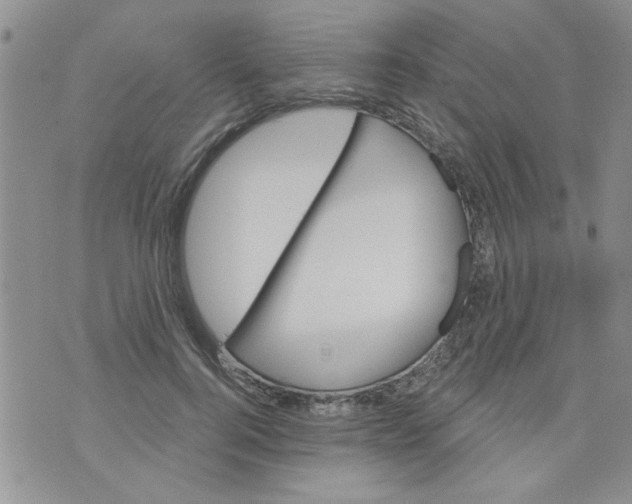 X0000073730744200608311844