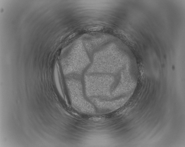 X0000073730745200608311844