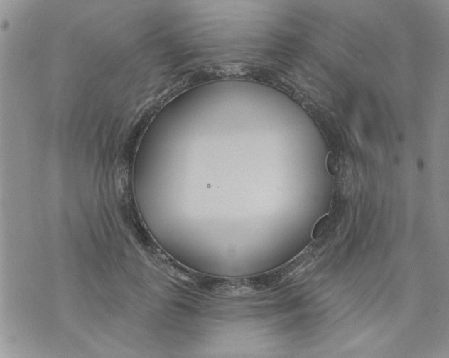 X0000073730747200608311844