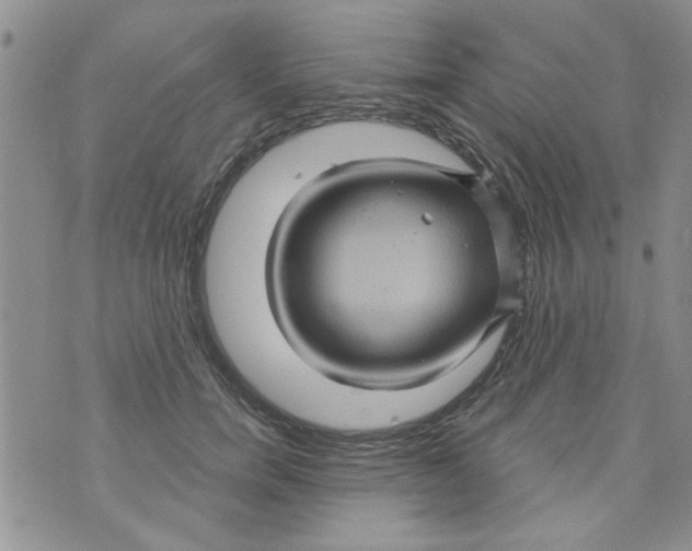 X0000073730750200608311845