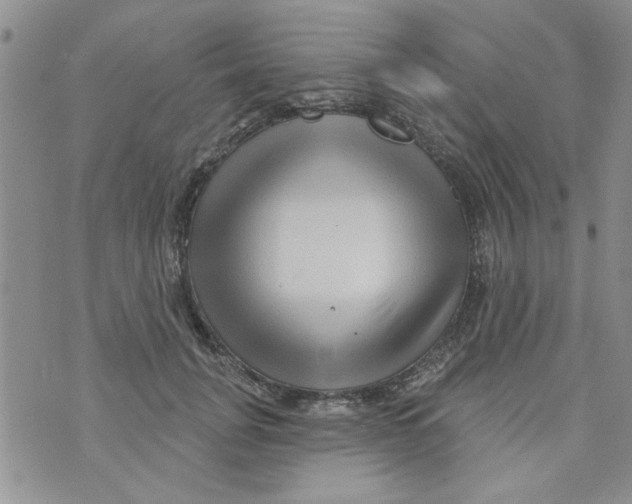 X0000073730751200608311845