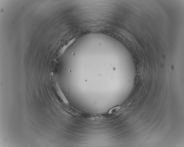 X0000073730752200608311845