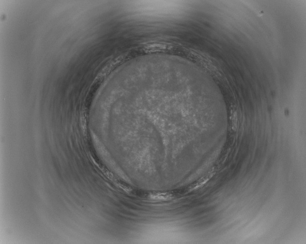 X0000073730753200608311845