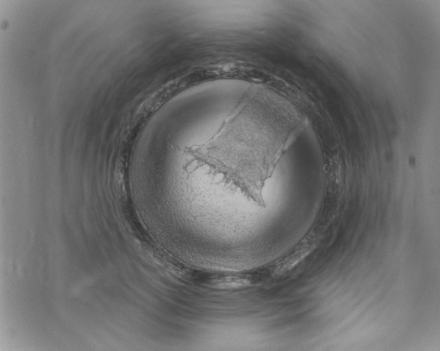 X0000073730754200608311845