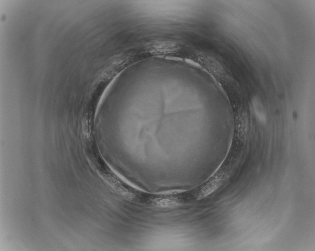 X0000073730755200608311845