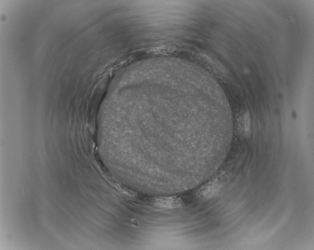 X0000073730757200608311845