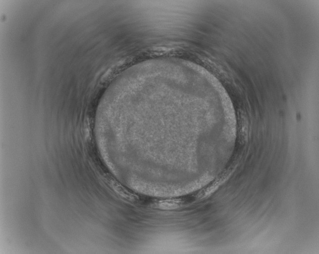 X0000073730758200608311845