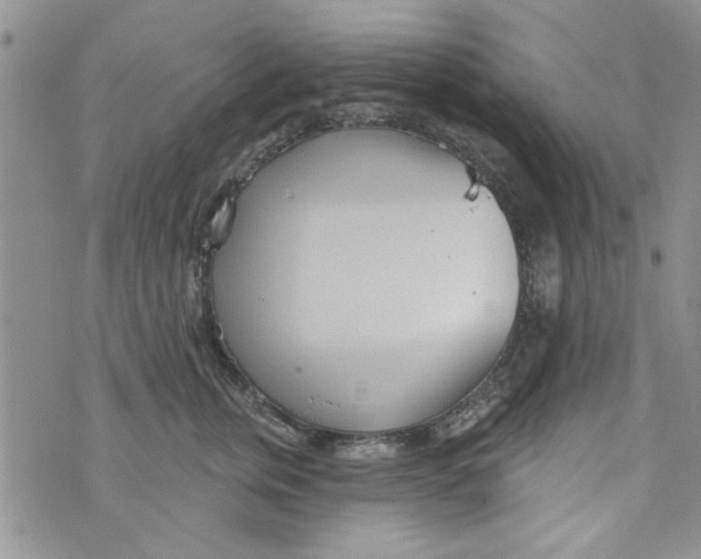 X0000073730759200608311845