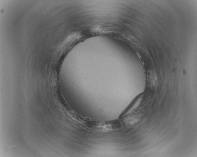 X0000073730760200608311845