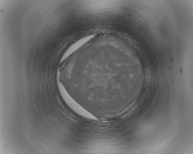 X0000073730761200608311845