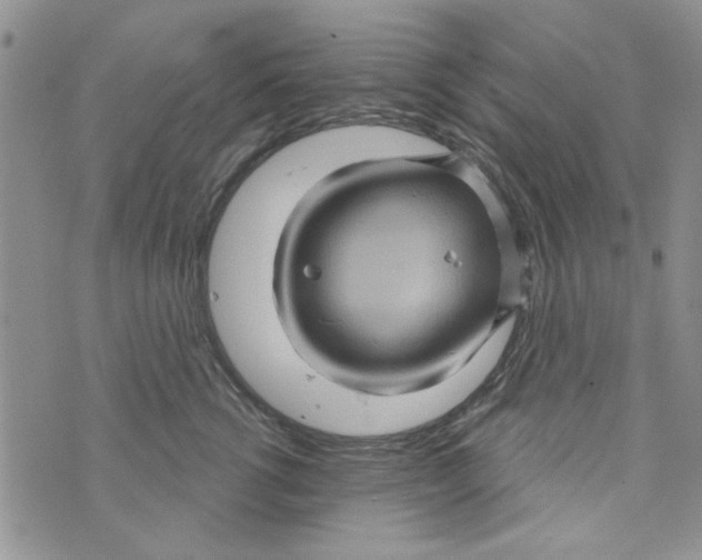 X0000073730762200608311845