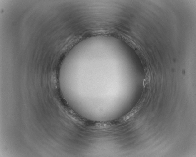 X0000073730764200608311845