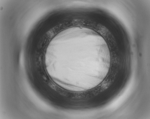 X0000073730765200608311845