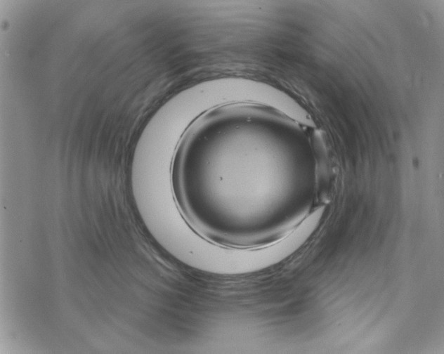 X0000073730766200608311845