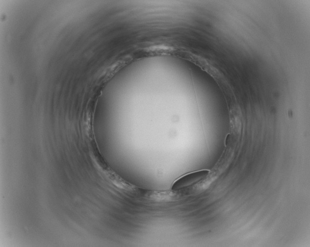 X0000073730767200608311845