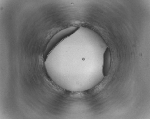 X0000073730768200608311845