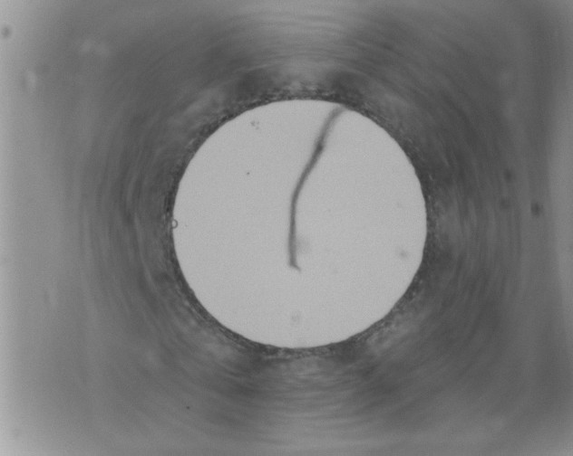 X0000073730769200608311844