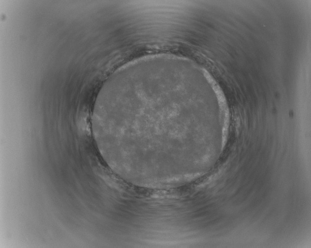 X0000073730770200608311844