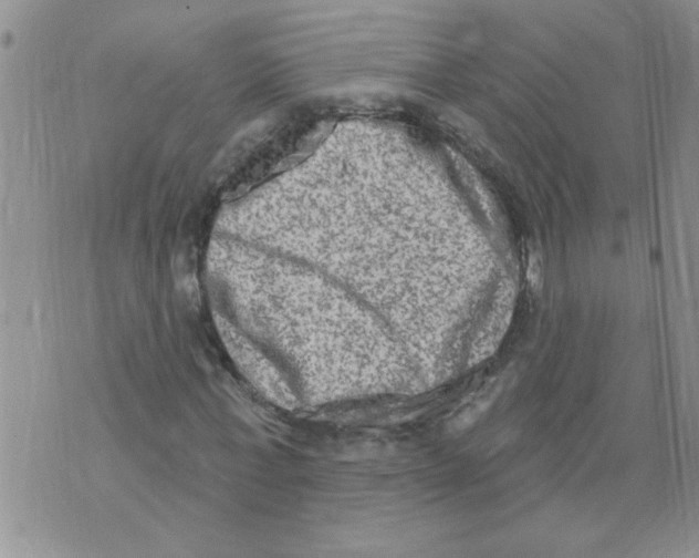 X0000073730771200608311844