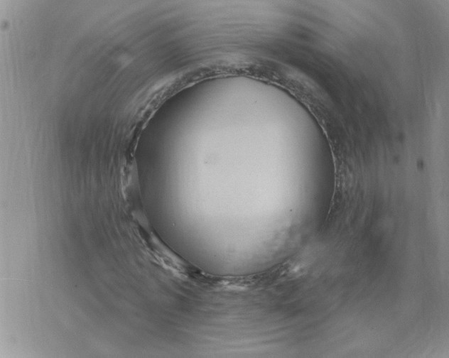 X0000073730773200608311844