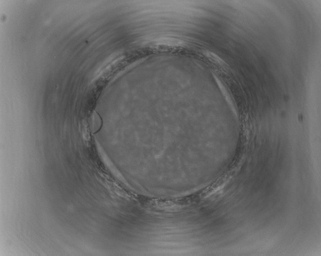 X0000073730774200608311844