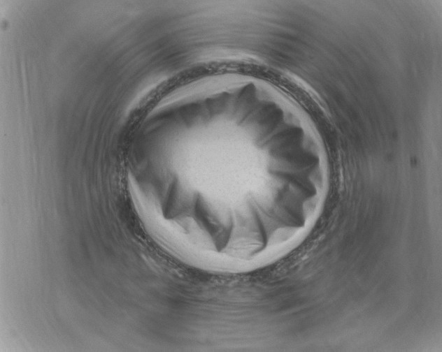 X0000073730775200608311844