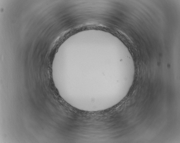 X0000073730776200608311844