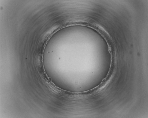 X0000073730777200608311844