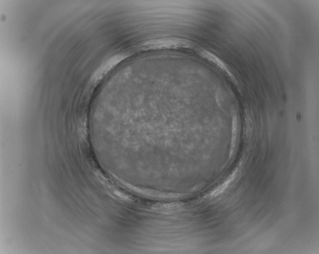 X0000073730778200608311844