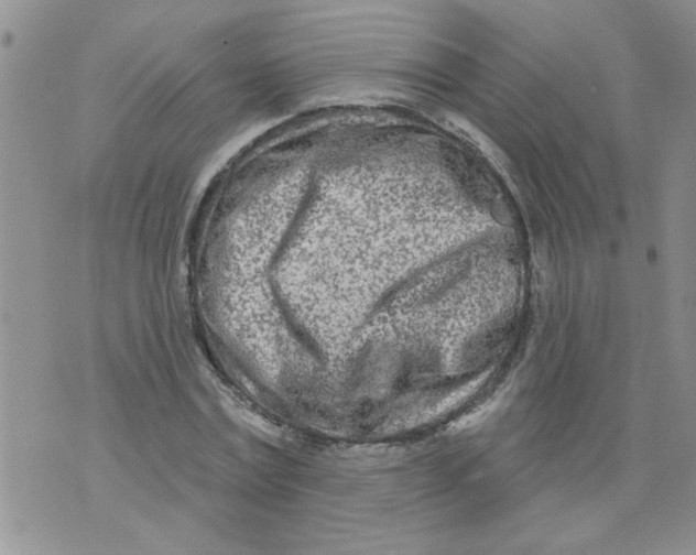 X0000073730779200608311844