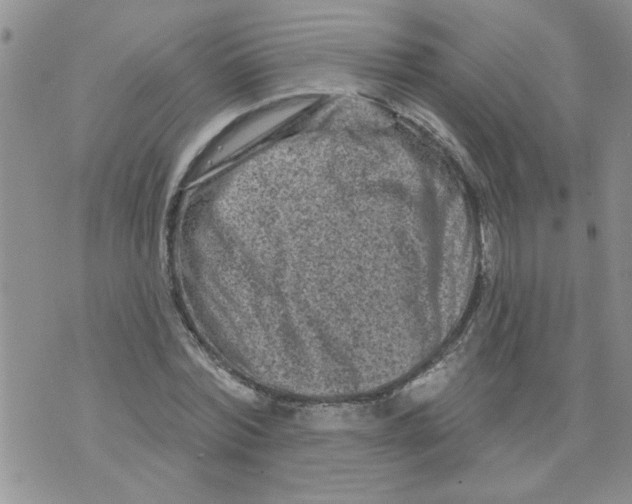 X0000073730780200608311844