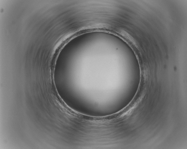 X0000073730781200608311844