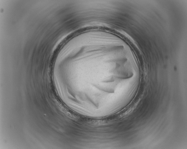 X0000073730783200608311844