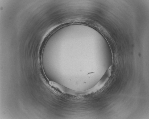 X0000073730784200608311844