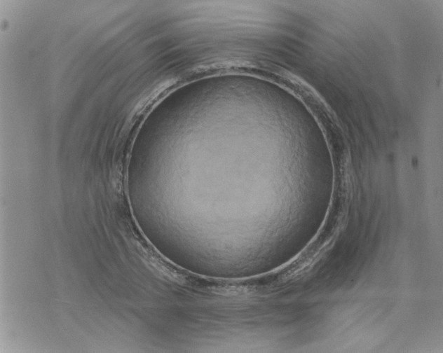 X0000073730785200608311844