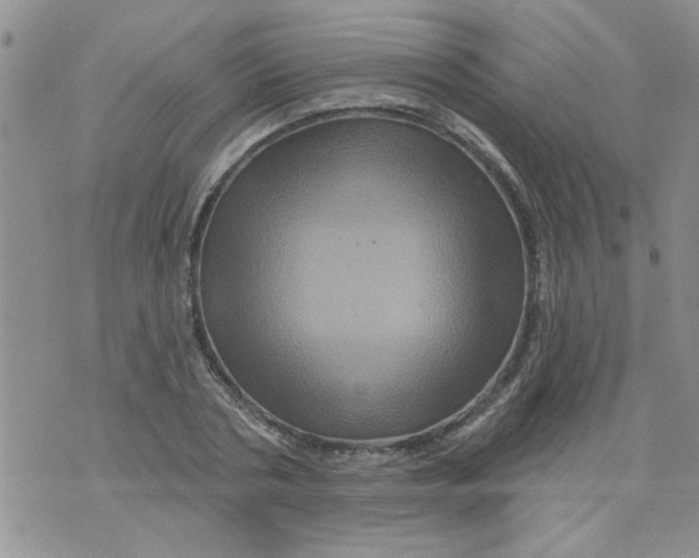 X0000073730786200608311844