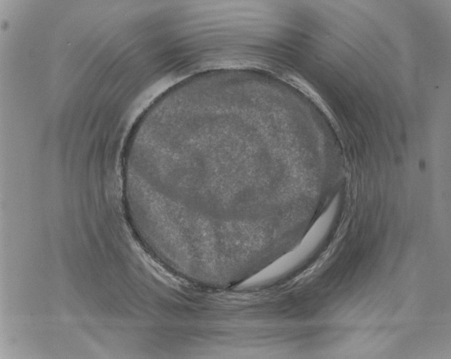 X0000073730787200608311844