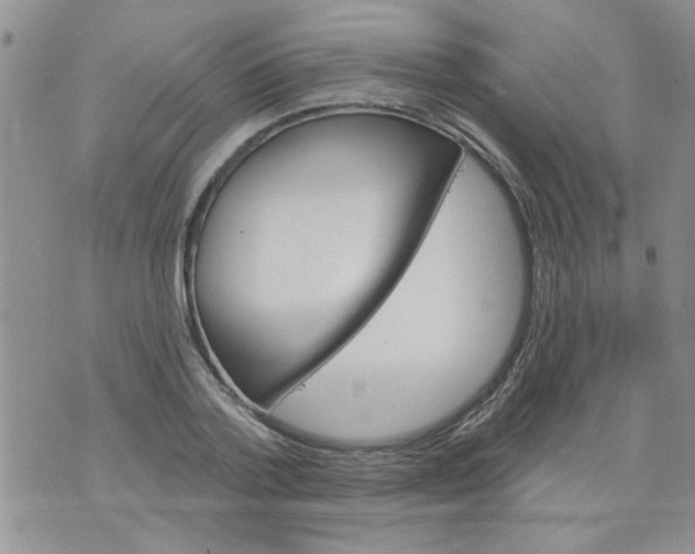 X0000073730788200608311844