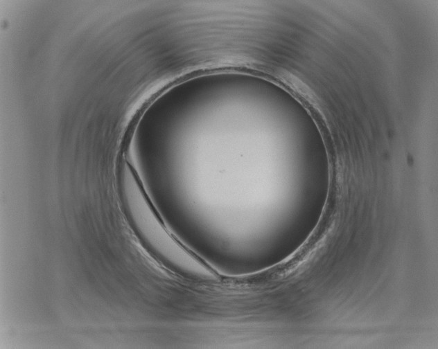 X0000073730789200608311844