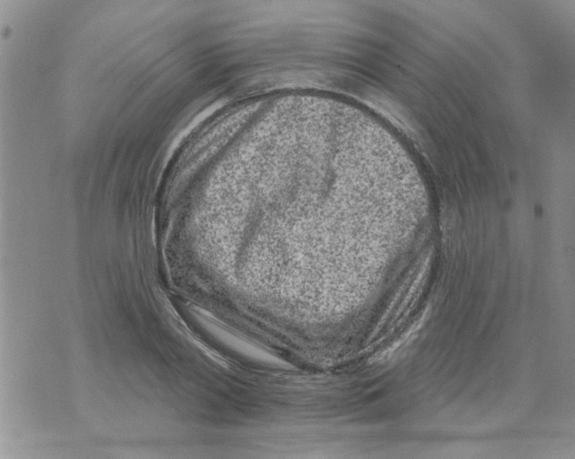 X0000073730790200608311844