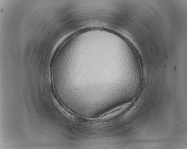 X0000073730791200608311844