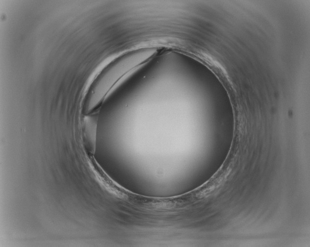 X0000073730792200608311844